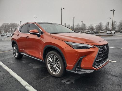 2022 Lexus NX 350h Luxury