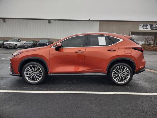 2022 Lexus NX 350h Luxury