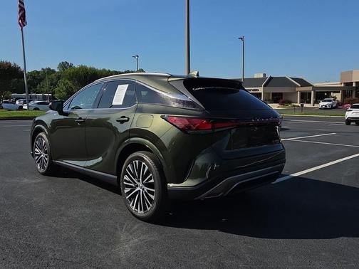 Green Pearl 2025 Lexus RX 350 Premium Plus