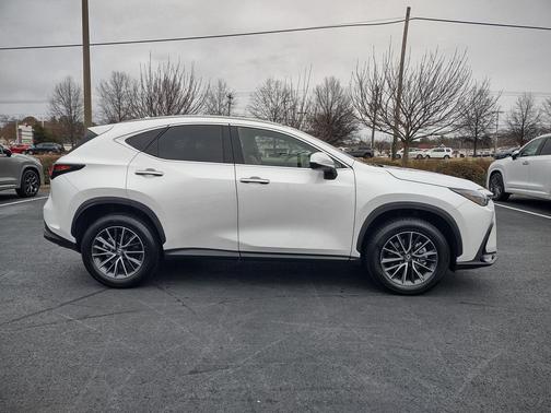 2025 Lexus NX 350h Premium