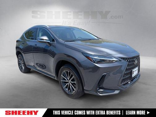 Cloudburst Gray 2024 Lexus NX 350 Premium