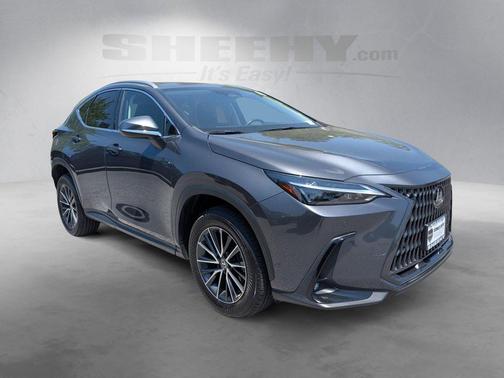 Cloudburst Gray 2024 Lexus NX 350 Premium