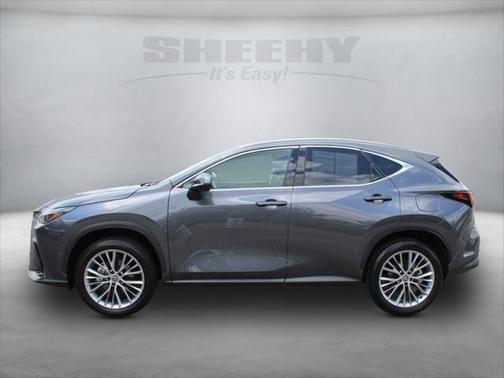 2025 Lexus NX 350 Luxury