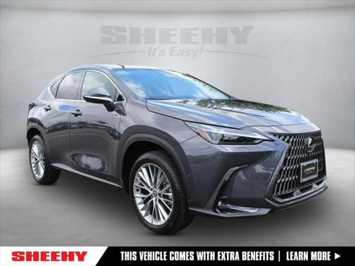 2025 Lexus NX 350 Luxury