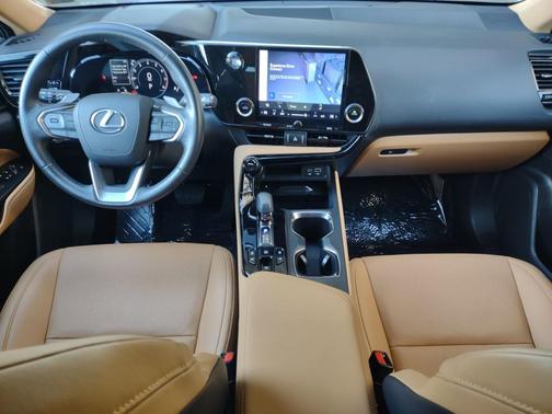 2025 Lexus NX 350 350 Base