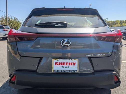 Cloudburst Gray 2026 Lexus UX 300h Premium