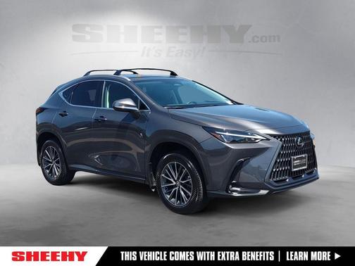 Cloudburst Gray 2025 Lexus NX 350h Premium
