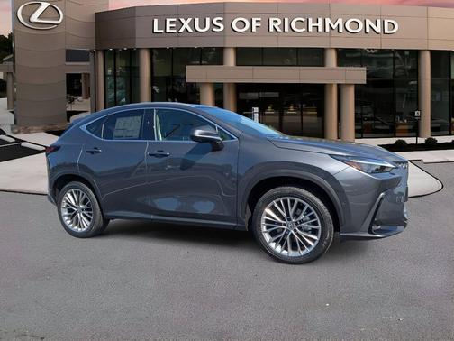 Cloudburst Gray 2026 Lexus NX 350 Luxury