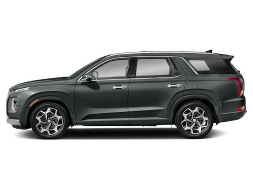 Rainforest 2022 Hyundai PALISADE Calligraphy