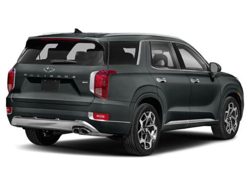 Rainforest 2022 Hyundai PALISADE Calligraphy