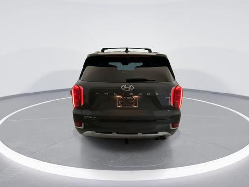 Rainforest 2022 Hyundai PALISADE Calligraphy