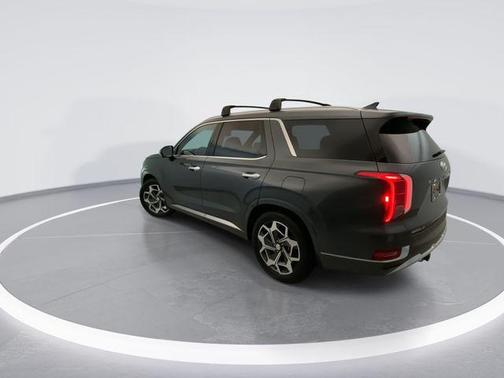 Rainforest 2022 Hyundai PALISADE Calligraphy