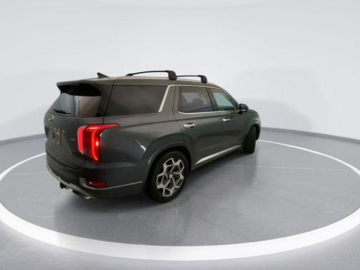 Rainforest 2022 Hyundai PALISADE Calligraphy