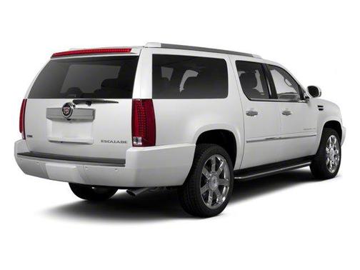 Black Raven 2010 Cadillac Escalade ESV Base