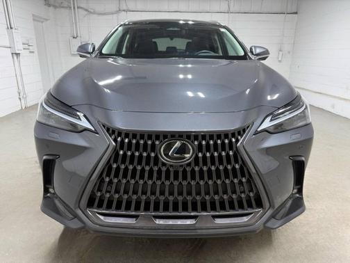 Cloudburst Gray 2025 Lexus NX 350 Luxury