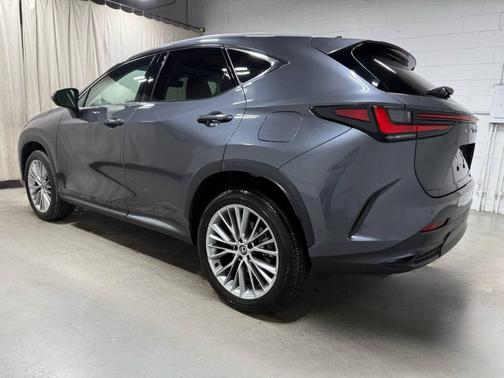 Cloudburst Gray 2025 Lexus NX 350 Luxury