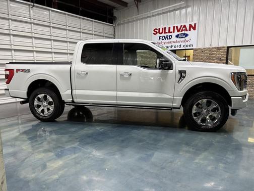 2021 Ford F-150 Platinum