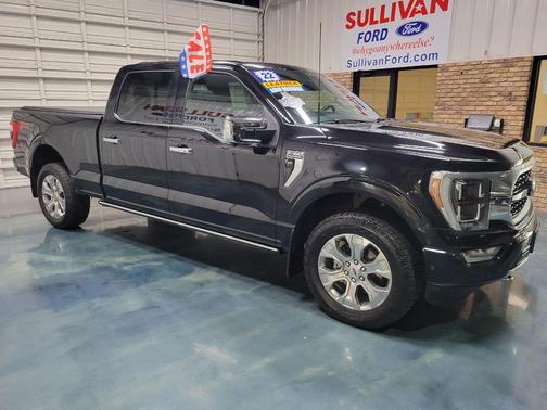 2022 Ford F-150 Platinum