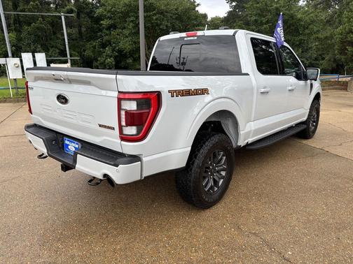 Avalanche 2023 Ford F-150 Tremor