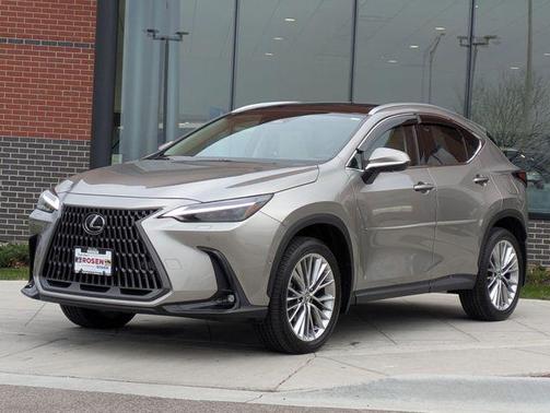 2025 Lexus NX 350h Luxury