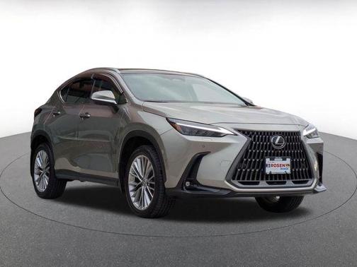 2025 Lexus NX 350h Luxury