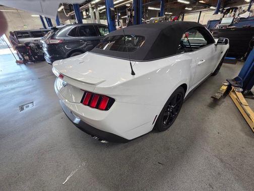 Oxford White 2025 Ford Mustang GT Premium