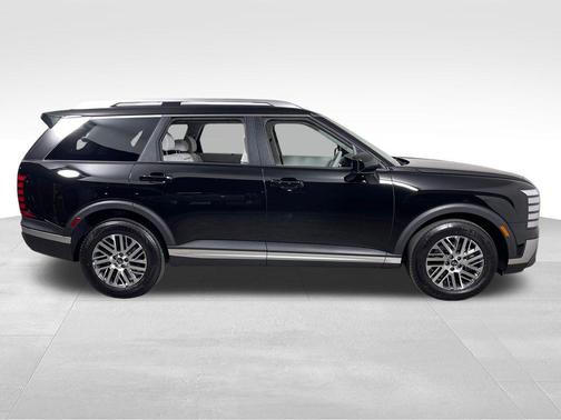 Abyss Black Pearl 2026 Hyundai PALISADE SEL 8P
