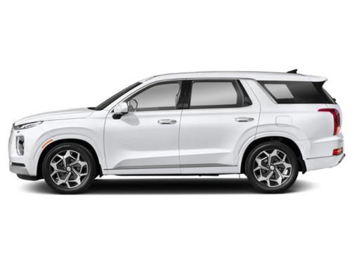 Typhoon Silver 2021 Hyundai PALISADE Calligraphy