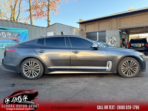 Panthera Metal 2019 Kia Stinger Premium