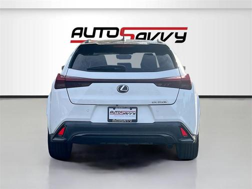 2024 Lexus UX 250h F Sport