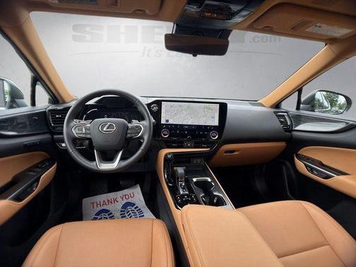 Cloudburst Gray 2025 Lexus NX 350 Premium