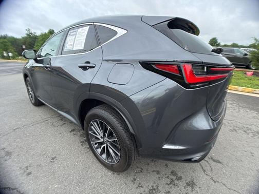 Cloudburst Gray 2025 Lexus NX 350 Premium