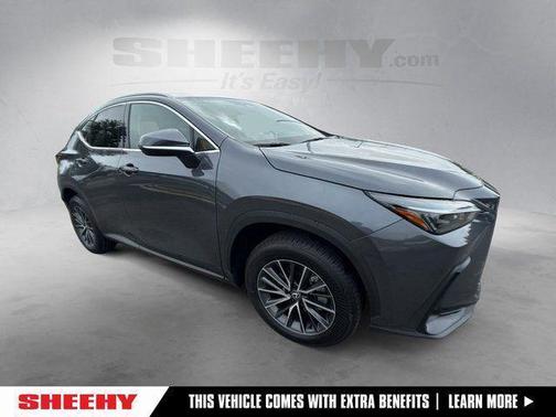 Cloudburst Gray 2025 Lexus NX 350 Premium
