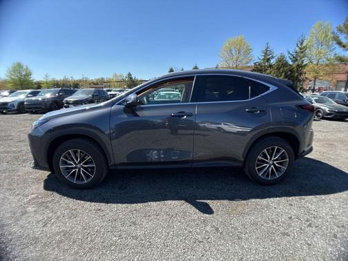 Cloudburst Gray 2025 Lexus NX 350 Premium