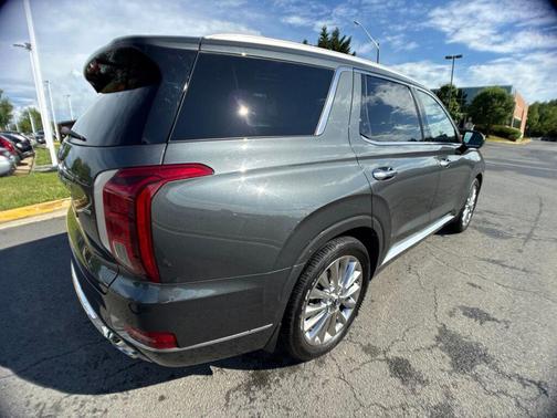 Rainforest 2020 Hyundai PALISADE Limited