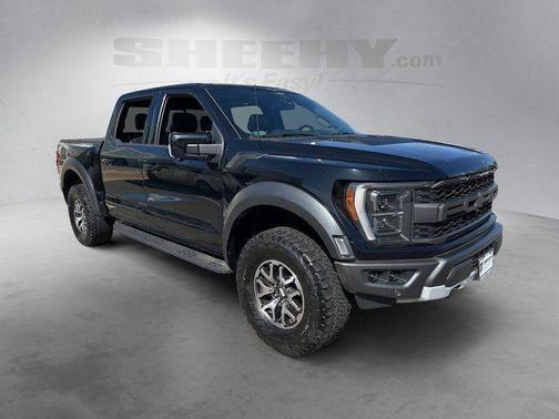 Agate Black Metallic 2022 Ford F-150 Raptor