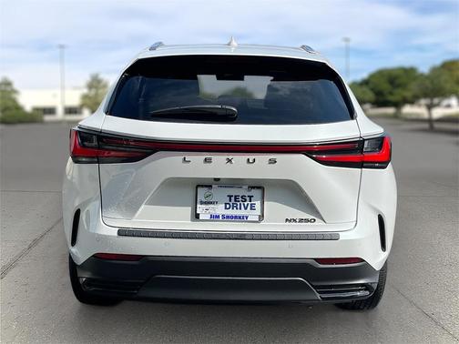 2022 Lexus NX 250 Premium