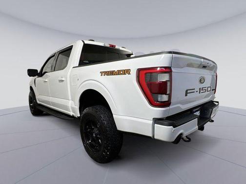 2021 Ford F-150 Tremor