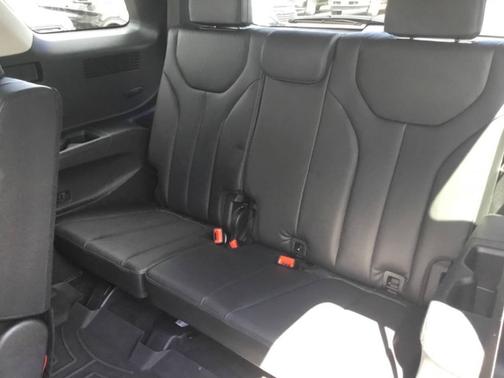 Typhoon Silver 2022 Hyundai PALISADE SEL