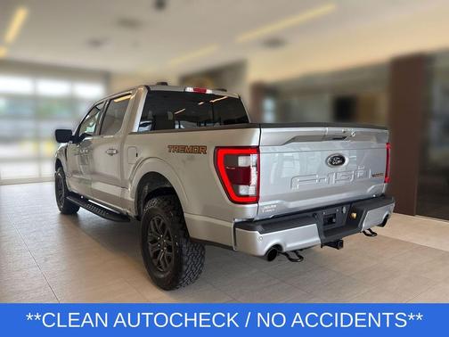 Iconic Silver Metallic 2023 Ford F-150 Tremor
