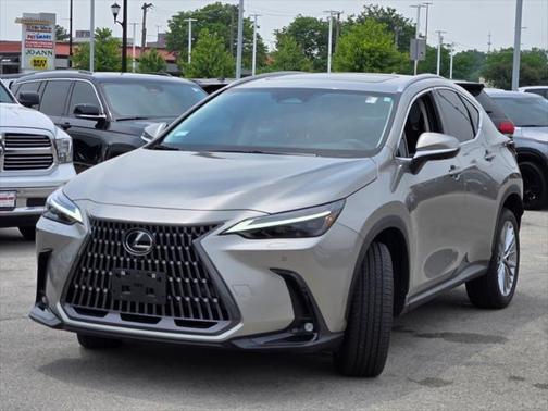 2024 Lexus NX 350 Luxury