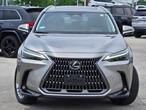 2024 Lexus NX 350 Luxury