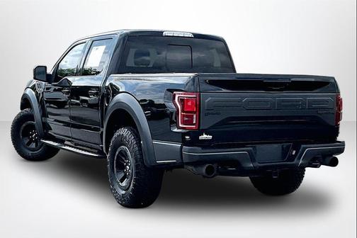 SHADOW BLACK 2018 Ford F-150 Raptor