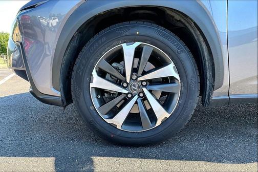 Nebula Gray Pearl 2019 Lexus NX 300 Base