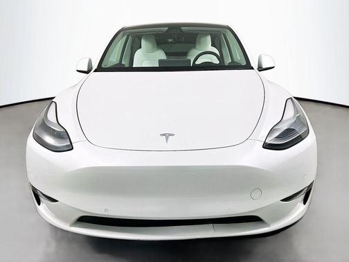 2021 Tesla Model Y Performance Dual Motor All-Wheel Drive