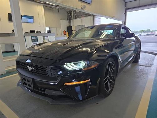 2023 Ford Mustang EcoBoost
