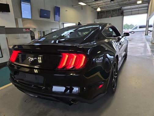 2023 Ford Mustang EcoBoost