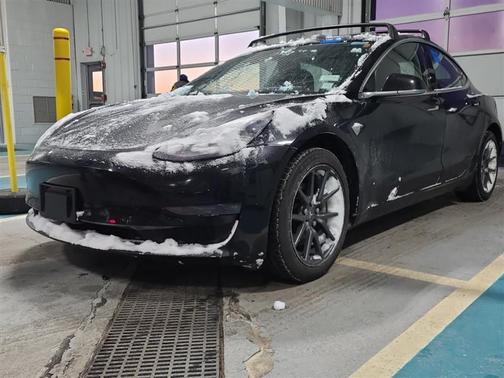 2019 Tesla Model 3 Standard Range Plus