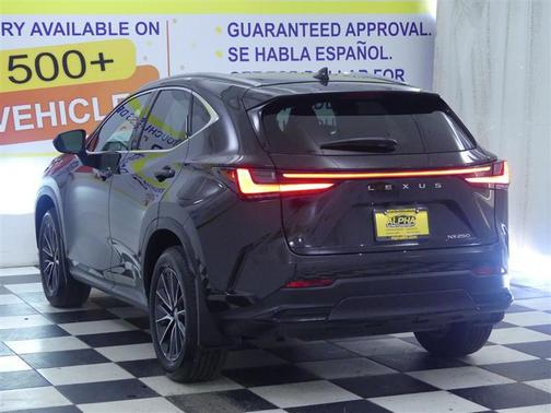 2024 Lexus NX 250 Premium