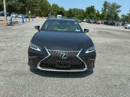 2019 Lexus ES 350 Premium